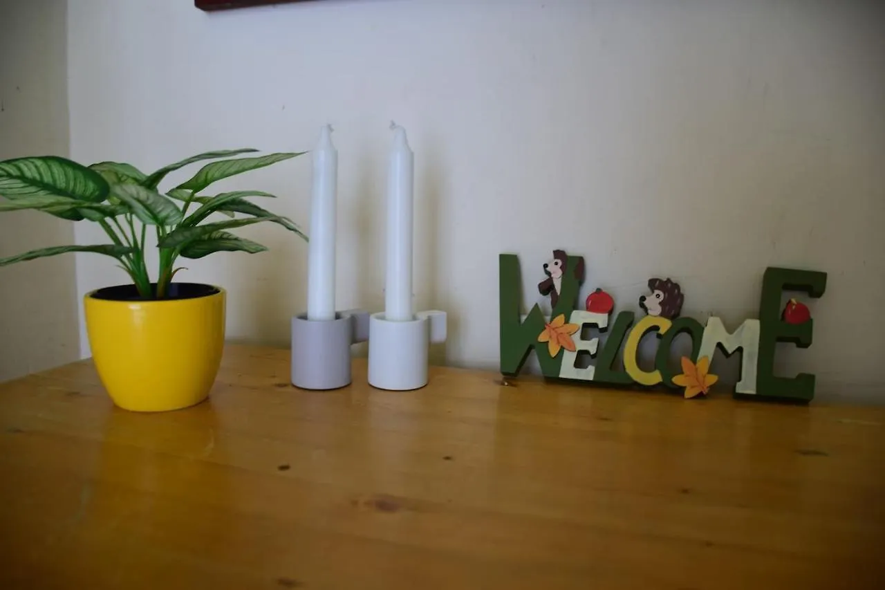 Budapest Central Apartman 3 Bdr, 2 Bath+3A/C+Free Parking+Quite Apartment